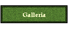 Galleria