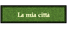 La mia citt